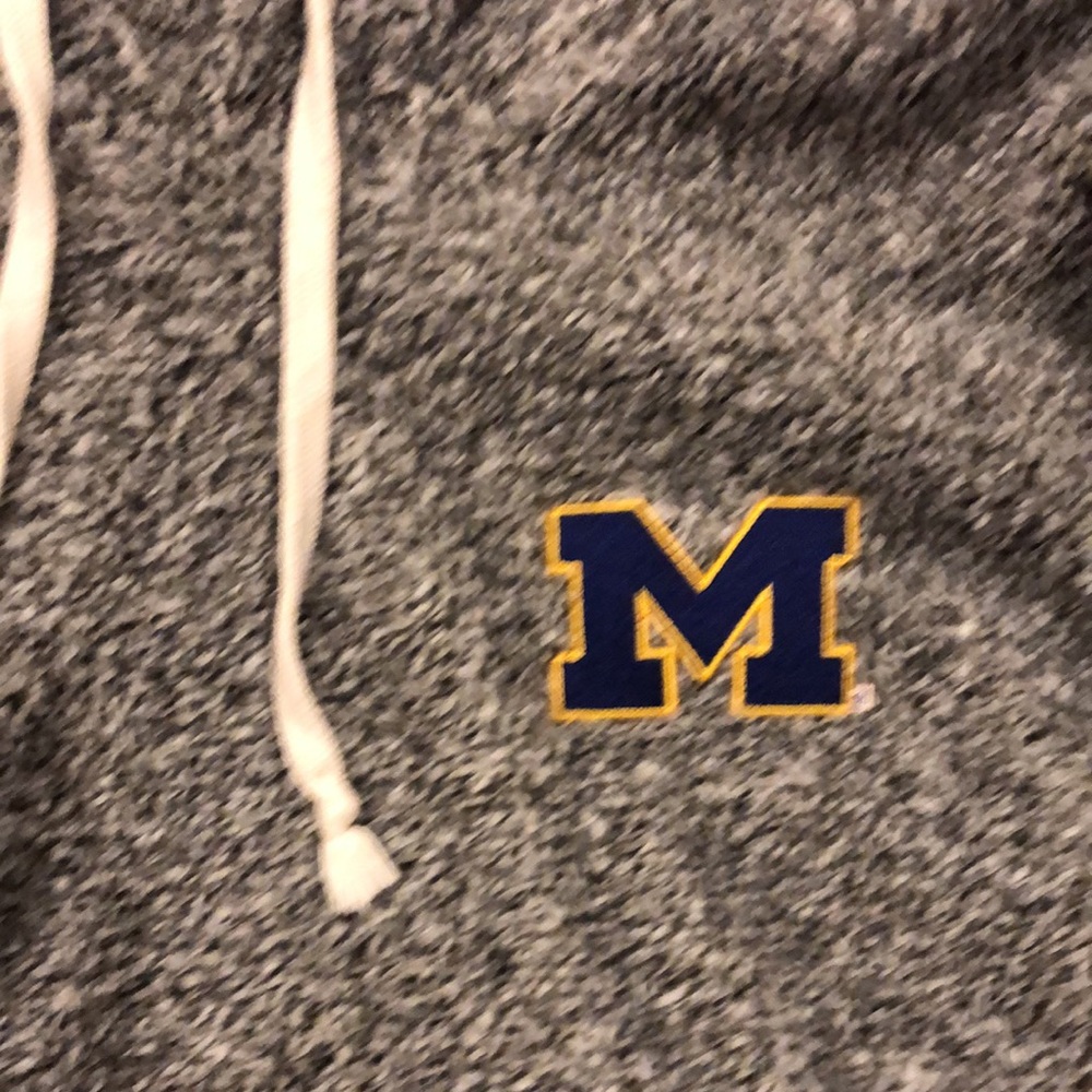 University of Michigan grey fleece hoodie size small - Picture 2 of 4
